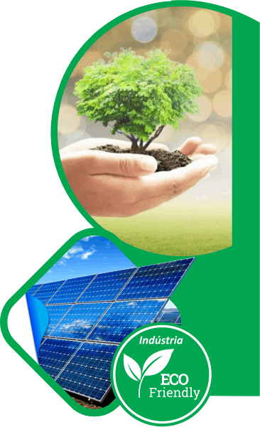 Responsabilidade Ecológica